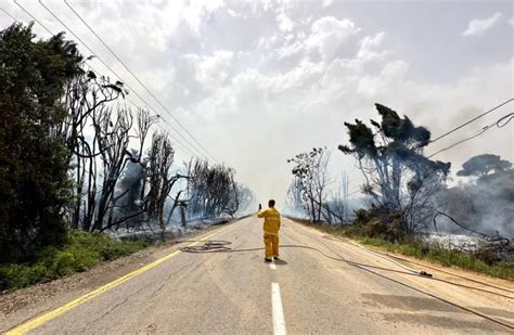 Israel sees more than 220 fires in one day due to heatwave - Israel ...