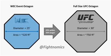 Picture Royalty Free Octagon Vector Cage - Ufc Cage Size, HD Png Download , Transparent Png ...