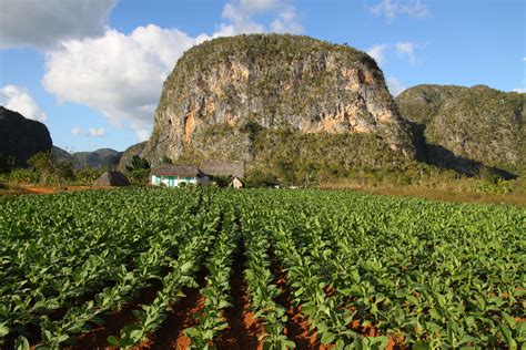 5 Reasons to Visit Viñales on Your Next Trip to Cuba