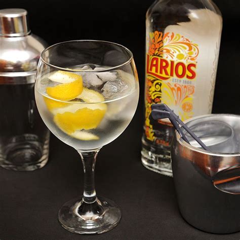 Gin Larios Big Size | Buy Online | Free Shipping