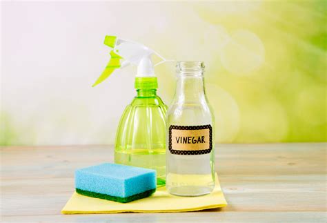 14 Brilliant Laundry Benefits of Vinegar You Didn’t Know - Wipe and ...