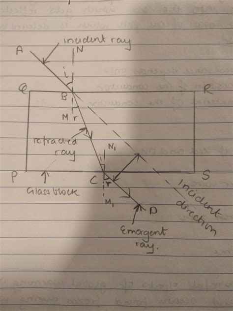 [DIAGRAM] Manta Ray Face Diagram - MYDIAGRAM.ONLINE