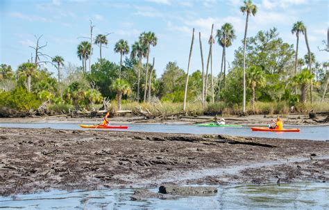 Welcome to Florida Paddle Notes - On Otter Creek