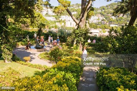 463 Gardens Of Augustus Stock Photos, High-Res Pictures, and Images - Getty Images