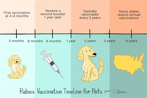 First Rabies Vaccine