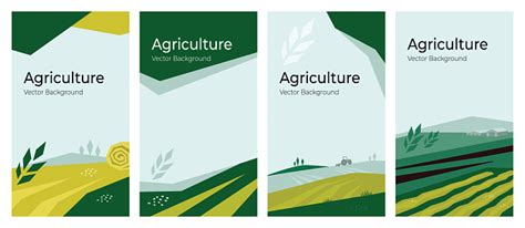 Set Of Agriculture Vector Backgrounds Stock Illustration - Download ...