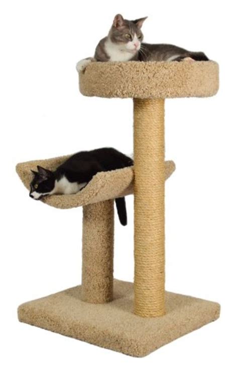 Best Cat Trees for Large Cats | A Listly List