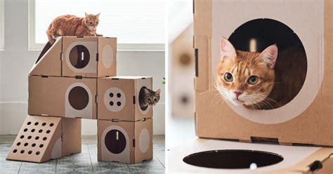 Architect Couple Turns Cardboard Boxes Into Stackable Cat Fort, And Here’s How Cats React | Cat ...