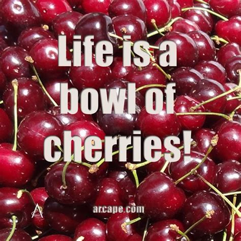 Life is a bowl of cherries | Cherry fruit, Social media marketing ...