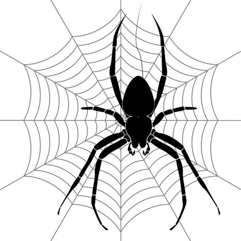 Spider clipart. Free download transparent .PNG | Creazilla