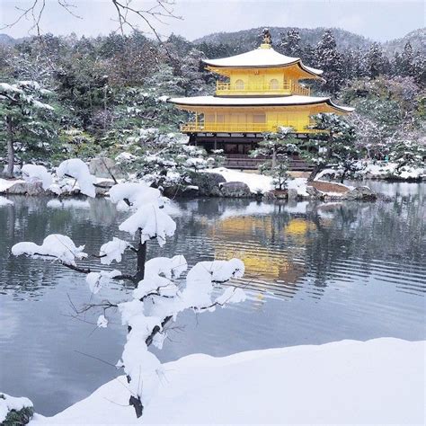 Golden pavilion (#kyotosightscene) - - - #winter #temple #golden #pavilion #snow #金閣寺 #京都 #kyoto ...