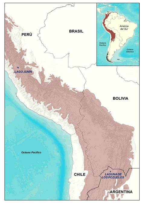 La Región andina: un lugar para conservar por Chris Baker - Wetlands International Latinoamérica ...