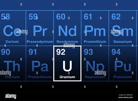 Uranium on periodic table of the elements in the actinide series ...