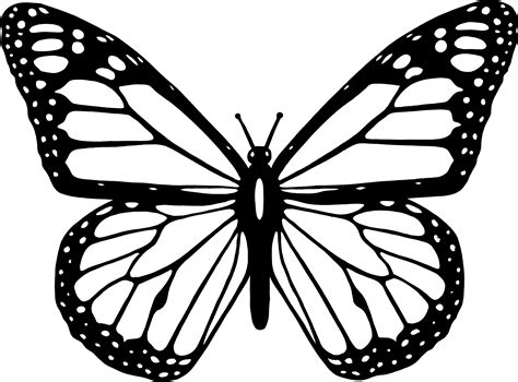 dongetrabi: Black And White Butterfly Drawing Images