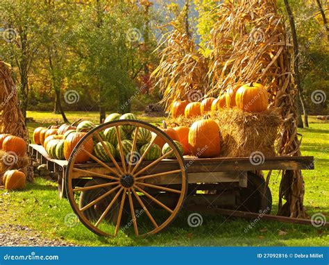 Autumn Harvest Royalty Free Stock Image - Image: 27092816