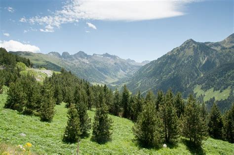 Trees and Mountains of Spain Pyrenees Stock Photo - Image of national, valley: 21184420