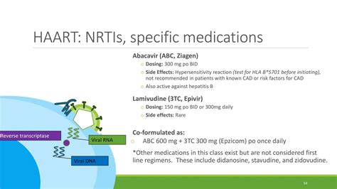 HIV and Anti-Retroviral Therapy - ppt download