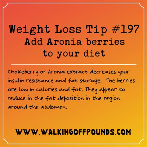 Weight loss tip: Add Aronia berries or chokeberries to your diet ...