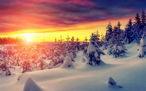 4K Winter Wallpaper - WallpaperSafari