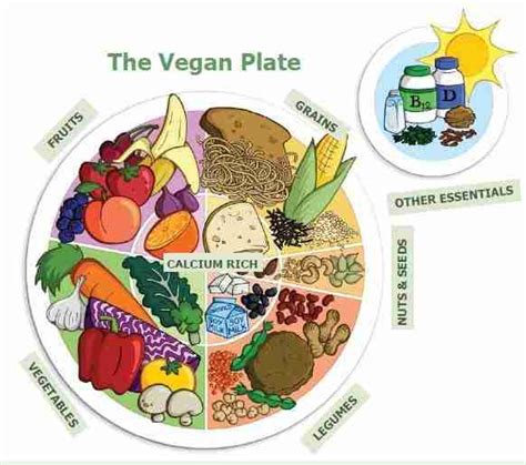 The Vegan Plate