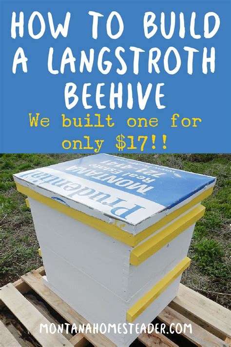 How to Build a 10 Frame Langstroth Bee Hive for Cheap