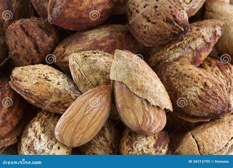 Shelled and Unshelled Almonds Stock Image - Image of nature, macro: 36513795