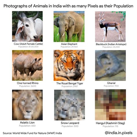 India in Pixels by Ashris on Twitter: "Pictures of Animals in India ...