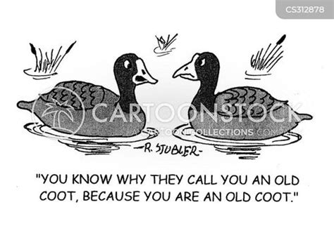 Coot Cartoons and Comics - funny pictures from CartoonStock