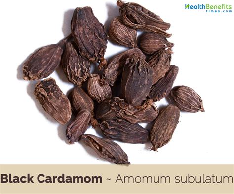 Black Cardamom health benefits