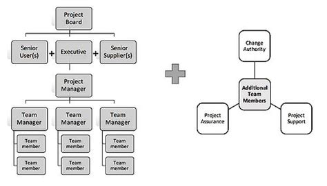 What are the roles and responsibilities of a project team