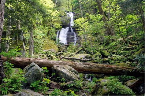 Smoky Mountain Waterfalls: A Guide - Parkside Resort