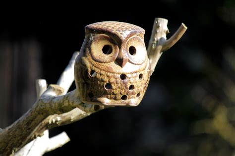 Free picture: wooden owl, toy