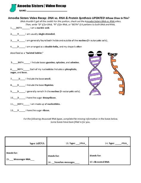 Protein Synthesis Worksheet - Amoeba Sisters Video Recap: DNA vs. RNA & Protein Synthesis - Studocu