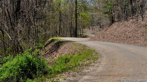 Appalachian National Scenic Trail | SPRINGER MOUNTAIN SUMMIT | Bringing ...