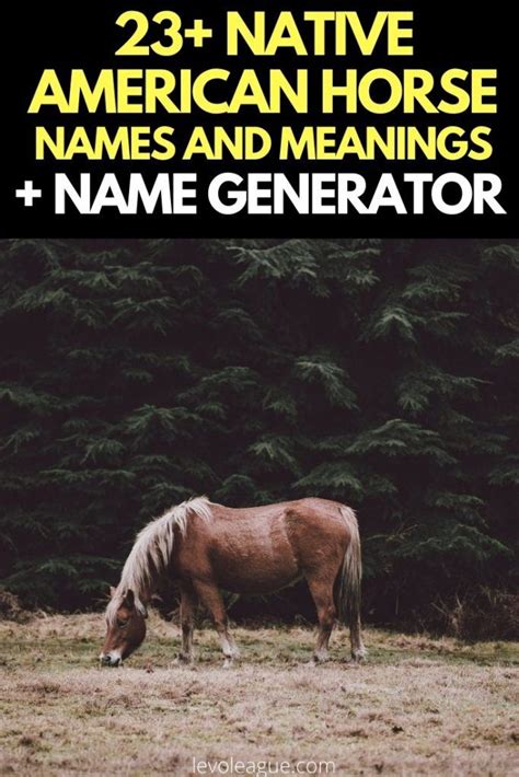 23+ Native American Horse Names & Meanings - Horse Name Generator | Native american horses ...