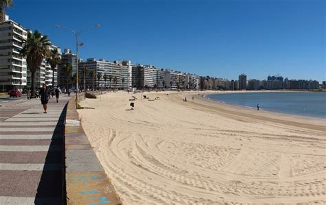 What is the best location to stay in Montevideo, Uruguay?