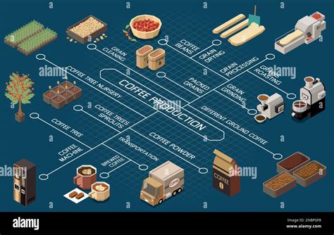 Coffee production industry flowchart depicting coffee tree nursery ...