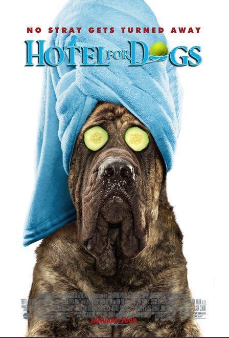 Hotel for Dogs Movie Poster (#6 of 8) - IMP Awards