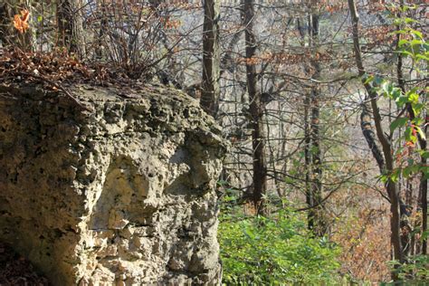 Rock and forest view at Bellevue State Park, Iowa image - Free stock photo - Public Domain photo ...