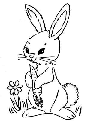 Free & Printable Rabbit Eating Carrot Coloring Picture, Assignment Sheets Pictures for Child ...