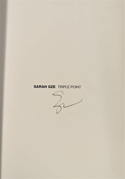 Sarah Sze: Triple Point | Sarah Sze