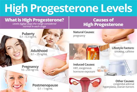 High Progesterone Levels: About & Causes | SheCares