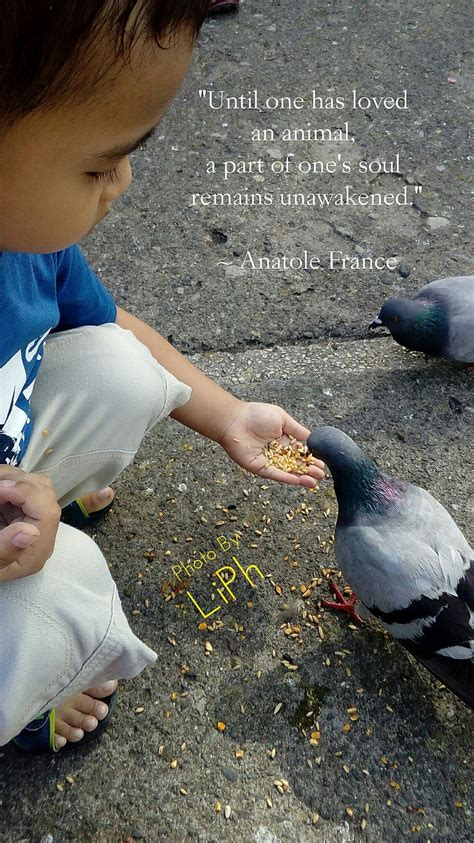 Animal Love, children, dove, anatole france, inspiration, quotes ...