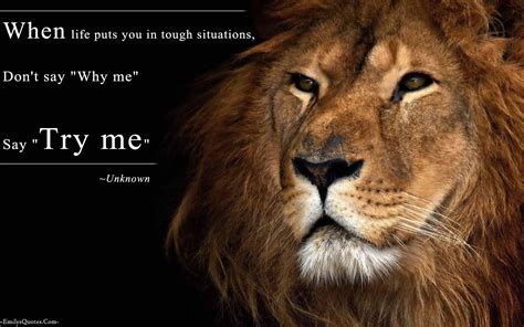 inspirational quotes about strength in hard times - Google Search Tribe Of Judah, Lion Images ...