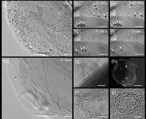 Transmission electron microscopy imaging of the carbon matrices ...