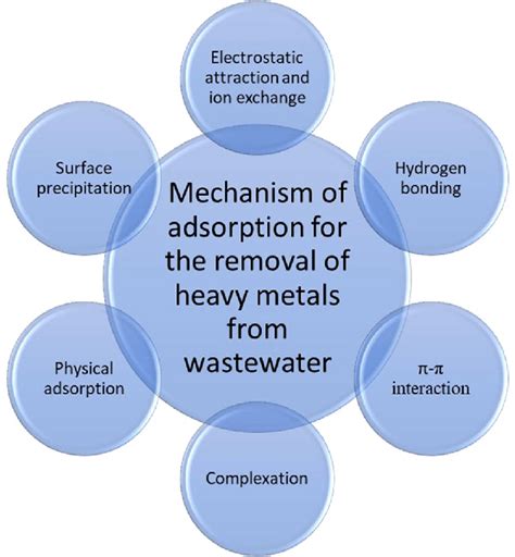 Mechanism of adsorption for the removal of heavy metals | Download ...