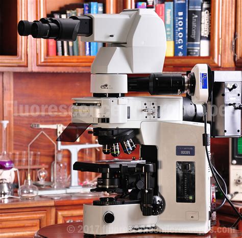 Fluorescence Microscopes - Olympus BX51 Upright Fluorescence Research Microscope