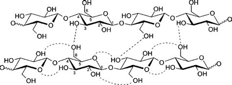 Cellulose Structure Hydrogen Bonds