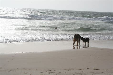 Plage de Nouakchott : 2018 Ce qu'il faut savoir pour votre visite ...