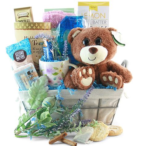 Spa Gift Baskets: Beary Relaxing Spa Gift Basket | DIYGB